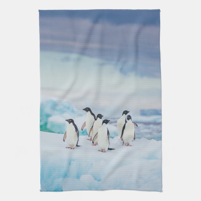 Eis und Schnee | Adelie Penguins Antarktis Geschirrtuch (Vertikal)