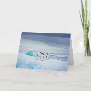 Eis und Schnee Adelie Penguins Antarktis Karte