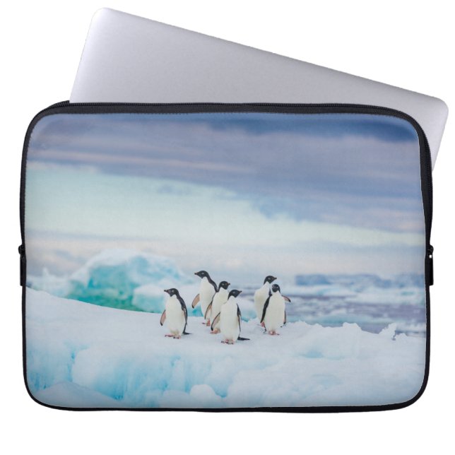 Eis und Schnee | Adelie Penguins Antarktis Laptopschutzhülle (Vorderseite)