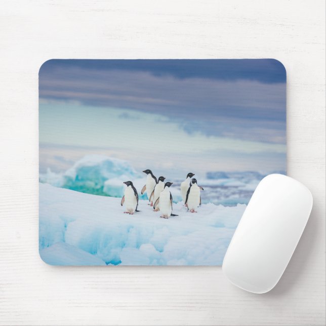 Eis und Schnee | Adelie Penguins Antarktis Mousepad (Mit Mouse)