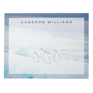 Eis und Schnee   Adelie Penguins Antarktis Notizblock