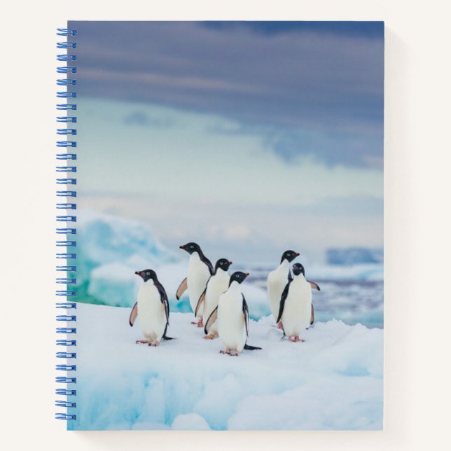 Eis und Schnee | Adelie Penguins Antarktis Notizbuch (Vorderseite)