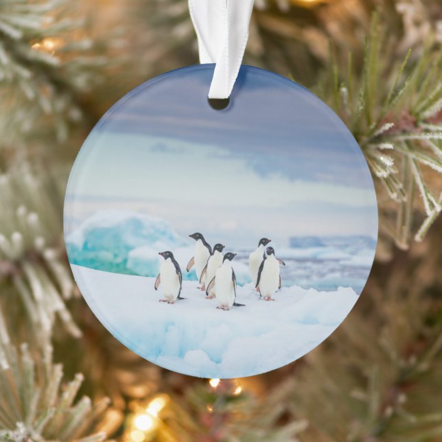 Eis und Schnee | Adelie Penguins Antarktis Ornament (Baum)