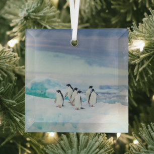 Eis und Schnee   Adelie Penguins Antarktis Ornament Aus Glas