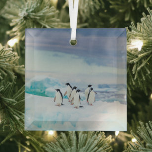 Eis und Schnee   Adelie Penguins Antarktis Ornament Aus Glas