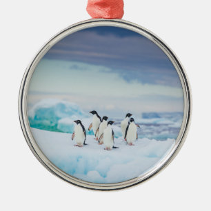 Eis und Schnee   Adelie Penguins Antarktis Ornament Aus Metall