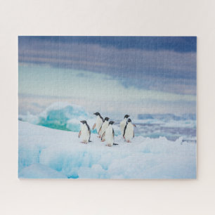 Eis und Schnee   Adelie Penguins Antarktis Puzzle