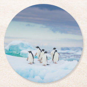 Eis und Schnee Adelie Penguins Antarktis Runder Pappuntersetzer