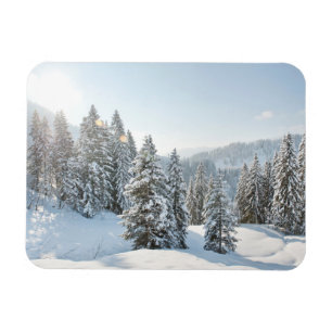 Eis und Schnee   Allgäu Bayern Süddeutschland Magnet
