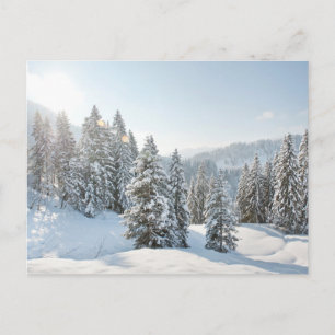 Eis und Schnee   Allgäu Bayern Süddeutschland Postkarte