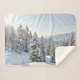 Eis und Schnee   Allgäu Bayern Süddeutschland Sherpadecke