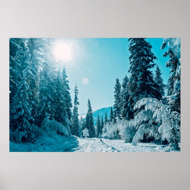 Eis und Schnee | Altai Nature Reserve, Russland Poster (Vorne)