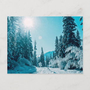 Eis und Schnee   Altai Nature Reserve, Russland Postkarte