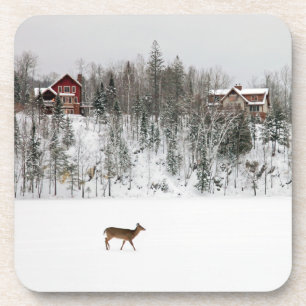 Eis und Schnee Deh in Snow Quebec, Kanada Getränkeuntersetzer