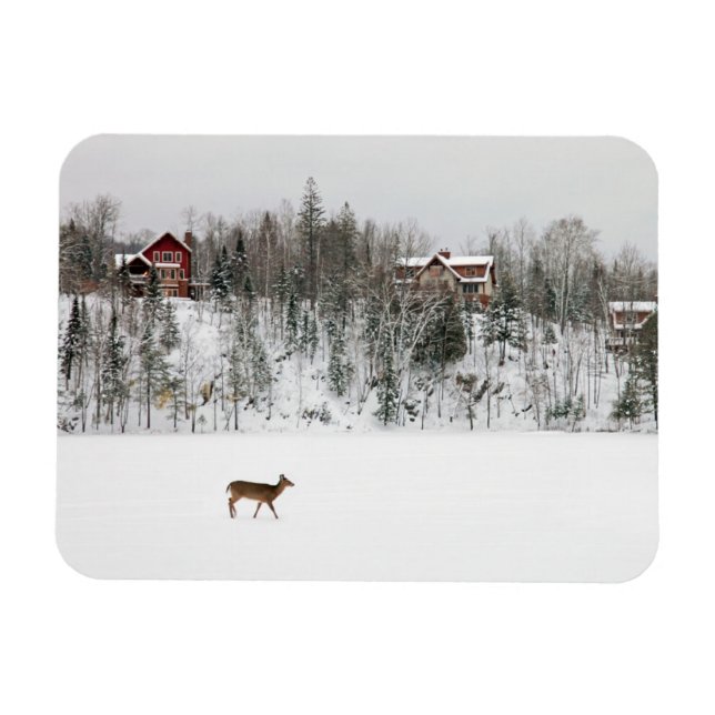Eis und Schnee | Deh in Snow Quebec, Kanada Magnet (Horizontal)