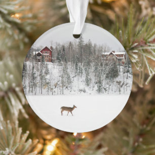 Eis und Schnee   Deh in Snow Quebec, Kanada Ornament