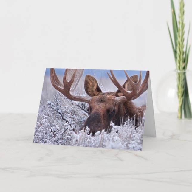 Eis und Schnee | Grand Teton National Park, Wyomin Karte (Vorderseite)