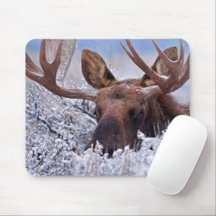Eis und Schnee   Grand Teton National Park, Wyomin Mousepad