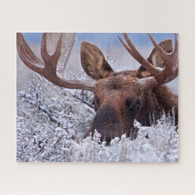 Eis und Schnee | Grand Teton National Park, Wyomin Puzzle (Horizontal)