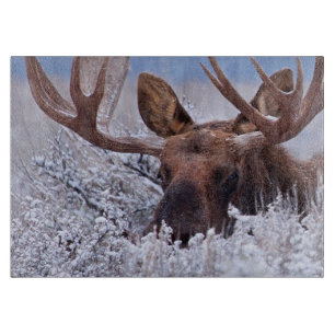 Eis und Schnee   Grand Teton National Park, Wyomin Schneidebrett