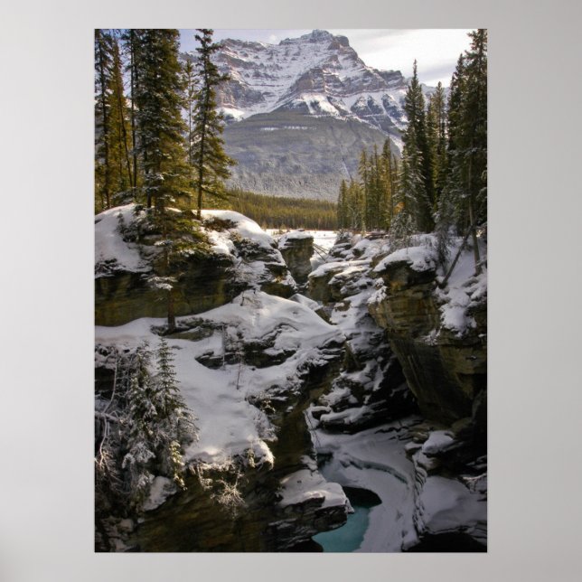 Eis und Schnee | Jasper National Park Alberta, Kan Poster (Vorne)