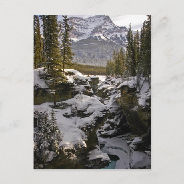 Eis und Schnee | Jasper National Park Alberta, Kan Postkarte (Vorderseite)