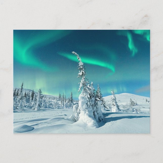 Eis und Schnee | Northern Lights, Lappland, Finnla Postkarte (Vorderseite)