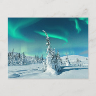 Eis und Schnee   Northern Lights, Lappland, Finnla Postkarte