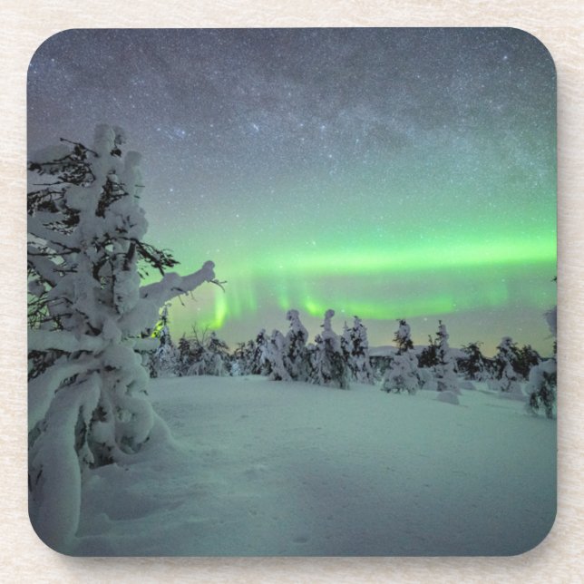 Eis und Schnee | Pallas-Yllastunturi-Nationalpark Getränkeuntersetzer (Vorderseite)