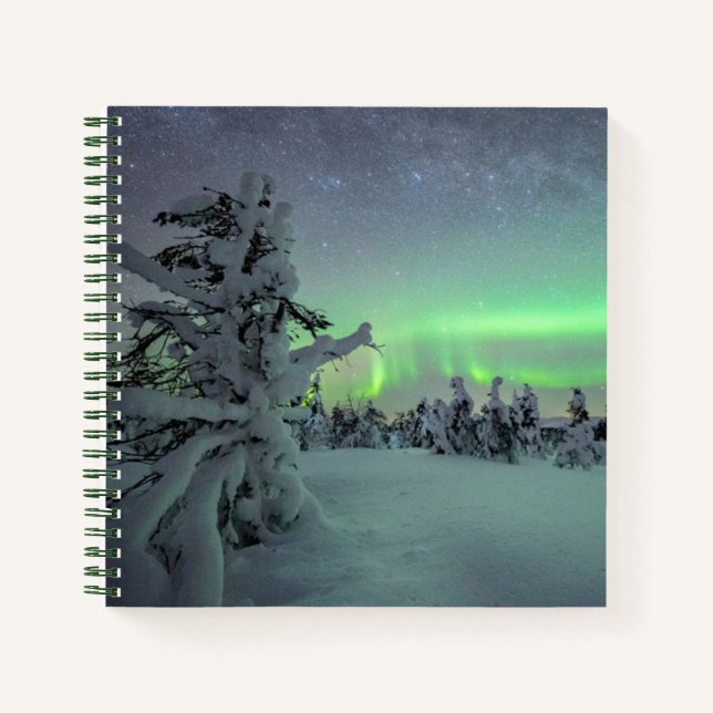 Eis und Schnee | Pallas-Yllastunturi-Nationalpark Notizbuch (Vorderseite)