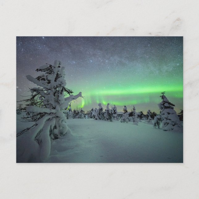 Eis und Schnee | Pallas-Yllastunturi-Nationalpark Postkarte (Vorderseite)