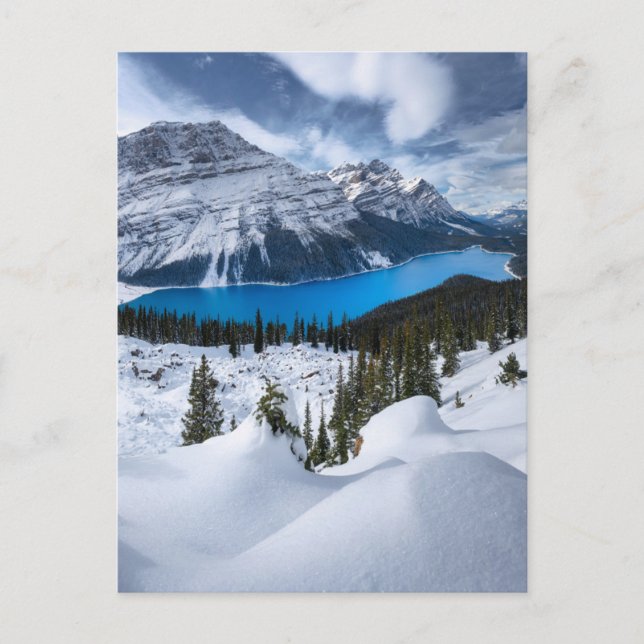 Eis und Schnee | Peyto-See, Kanadische Rockies Postkarte (Vorderseite)