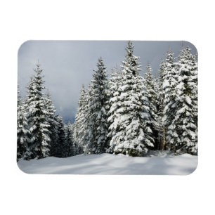 Eis und Schnee   Pine Woodland, Österreich Magnet
