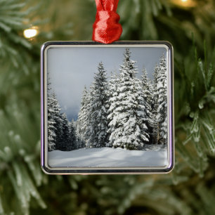 Eis und Schnee   Pine Woodland, Österreich Ornament Aus Metall