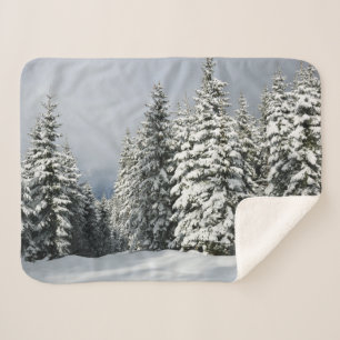 Eis und Schnee   Pine Woodland, Österreich Sherpadecke