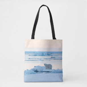 Eis und Schnee Polar Bear Iceberg Norwegen