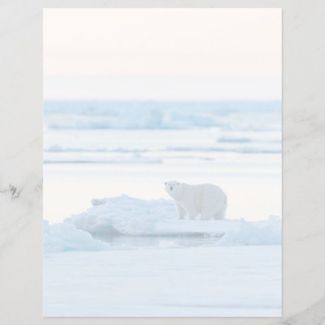 Eis und Schnee | Polar Bear Iceberg Norwegen (Vorderseite)