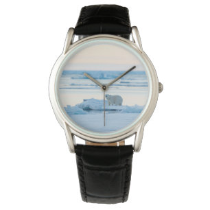 Eis und Schnee   Polar Bear Iceberg Norwegen Armbanduhr