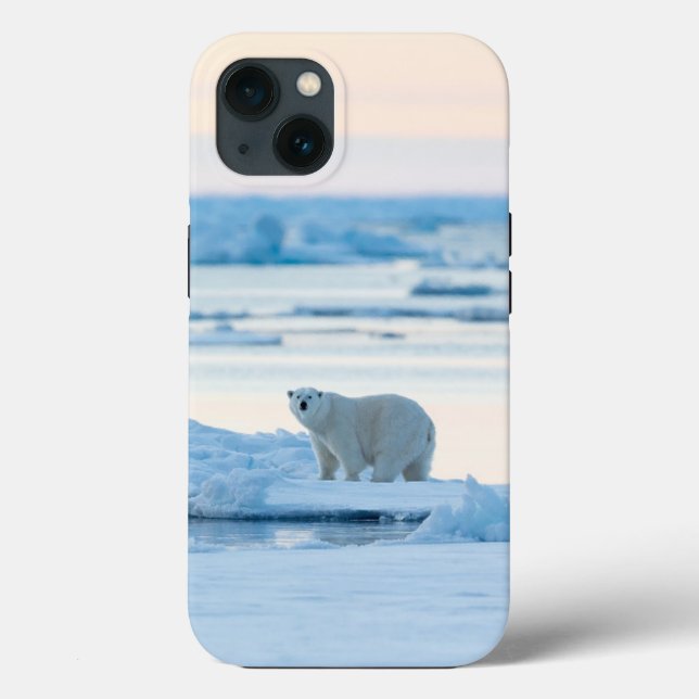 Eis und Schnee | Polar Bear Iceberg Norwegen Case-Mate iPhone Hülle (Rückseite)