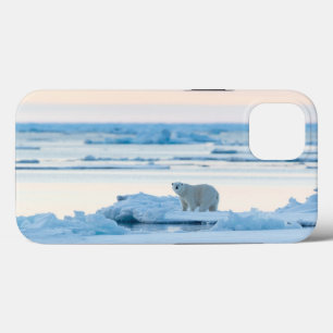 Eis und Schnee Polar Bear Iceberg Norwegen Case-Mate iPhone Hülle