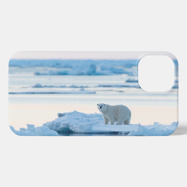 Eis und Schnee | Polar Bear Iceberg Norwegen iPhone Hülle (Rückseite (Horizontal))