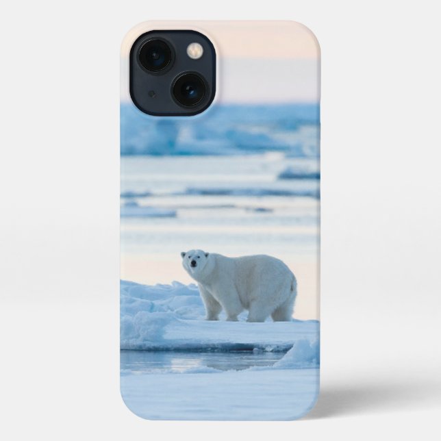 Eis und Schnee | Polar Bear Iceberg Norwegen iPhone Hülle (Rückseite)