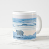 Eis und Schnee | Polar Bear Iceberg Norwegen