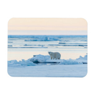 Eis und Schnee   Polar Bear Iceberg Norwegen Magnet