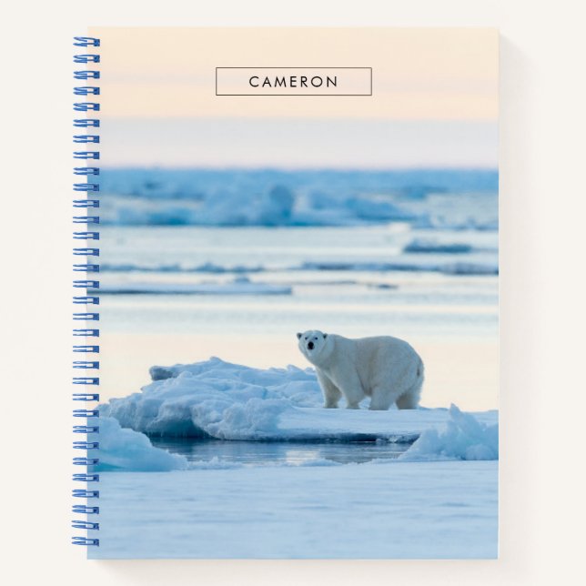 Eis und Schnee | Polar Bear Iceberg Norwegen Notizbuch (Vorderseite)