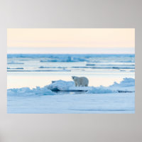 Eis und Schnee | Polar Bear Iceberg Norwegen
