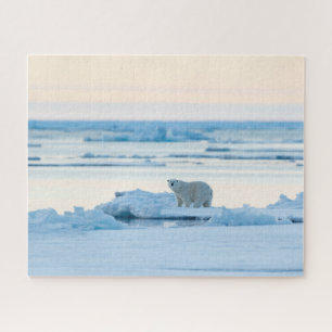 Eis und Schnee   Polar Bear Iceberg Norwegen Puzzle