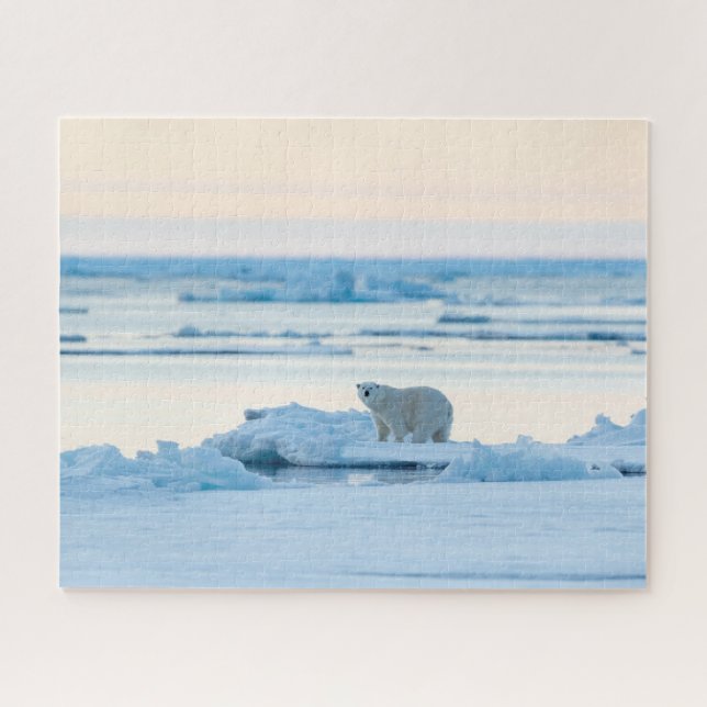 Eis und Schnee | Polar Bear Iceberg Norwegen Puzzle (Horizontal)
