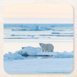 Eis und Schnee   Polar Bear Iceberg Norwegen Rechteckiger Pappuntersetzer
