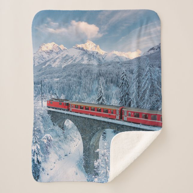 Eis und Schnee | Red Bernina Express Zug Schweiz Sherpadecke (Vorderseite)